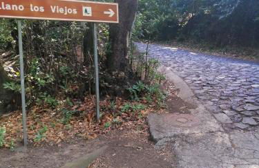 Anaga y La laguna a tus pies - Foto 53