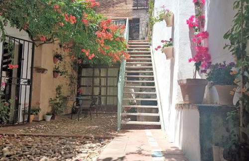 Patio Del Limonero - Foto 31