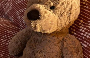 Bryce’s Zion House by Bryce Canyon National Park! - Foto 32