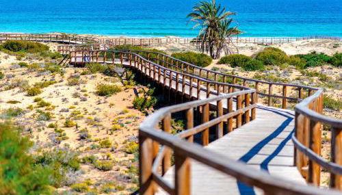 House Un été sans fin - Foto 3