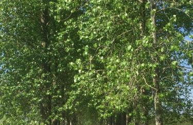 The Long Barn - Foto 26