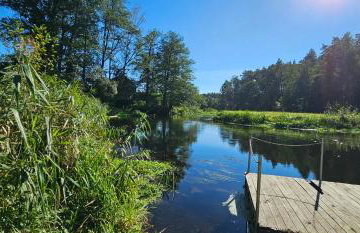 Leśna Przystań Bory Tucholskie - Foto 26