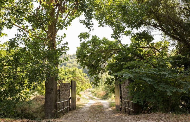 Stunning Treehouse 10 Mins From Sandy Beaches - Foto 12