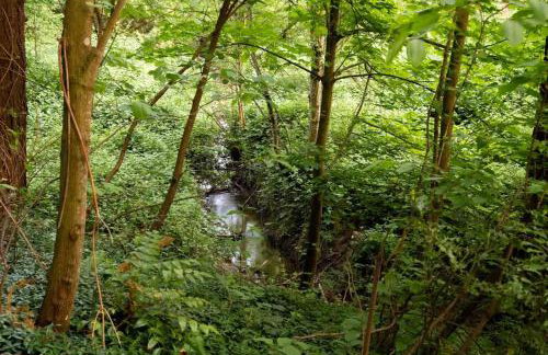 Kanate Timber - Photo 49