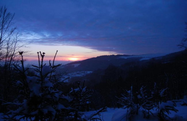 Apartment in the Bavarian Forest - Foto 39