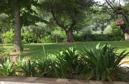 Casa Sant Angelo - Photo 45