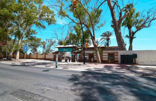 Letmalaga Sorolla - Photo 51