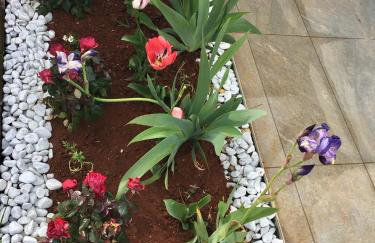 APARTMANI NIEL - Photo 30