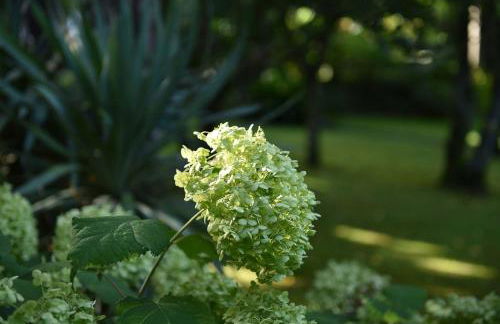 Frühmesserhaus Refugium zu Sanct Kassian - Foto 79