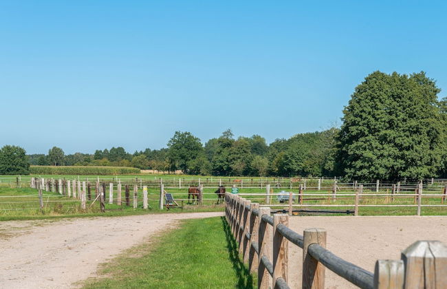 Ferienhaus in Eschede - Photo 62