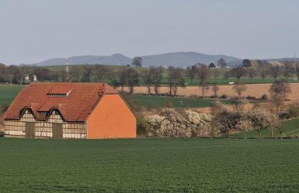 Gemütliche 1-Zimmer-Wohnung im Hildesheimer Wald - Foto 14