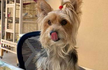 La casa di Rosa - Photo 32