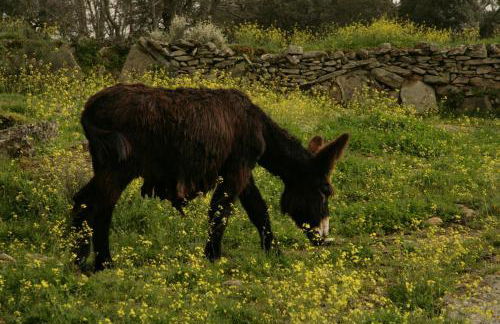 La Casa de los Arribes - Foto 56