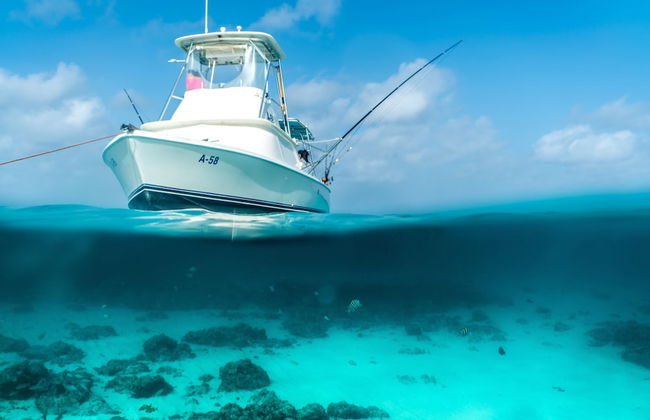 Ierlandstraat 23 - Foto 55