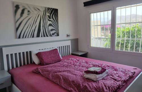 großes Haus mit Garten und Blick auf die kanarische Hügellandschaft - Foto 4