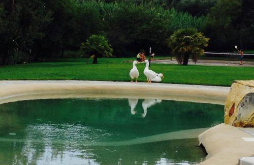 Agriturismo Ada Musso ss - Foto 37