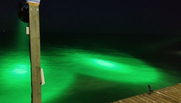 Little Cove Resort by Miss Kitty’s - Foto 3, Ausstattung der Unterkunft