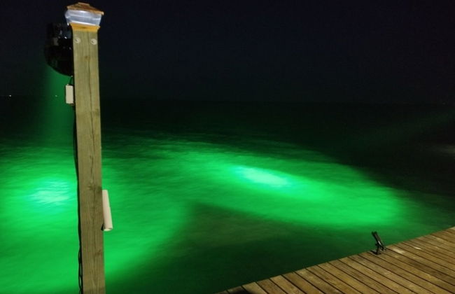 Little Cove Resort by Miss Kitty’s - Foto 15