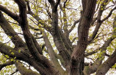 Urlaub Nord-Ost - Foto 22