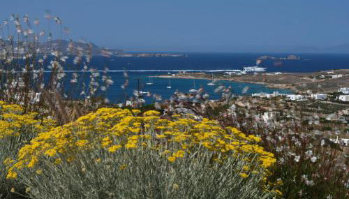 Olithos Villas - Photo 4, Garden view