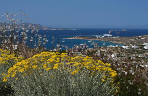 Olithos Villas - Photo 4