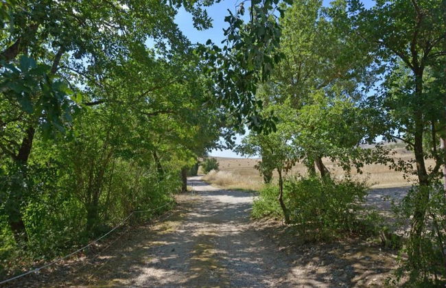 Spacious House in Pienza - Foto 45