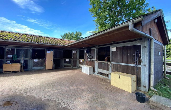 Ferienhaeuser im Ferienpark, Hechthausen - Foto 24