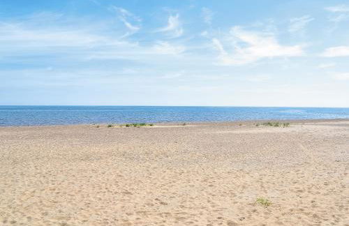 Sea Shells - Foto 12