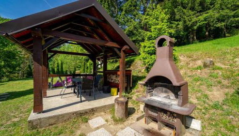 Holiday home in Delnice - Gorski Kotar 43959 - Foto 4, Garden