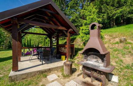 Holiday home in Delnice - Gorski Kotar 43959 - Foto 4