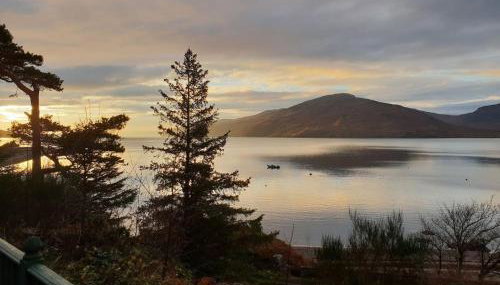 The Green House - Foto 2