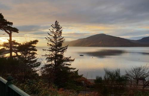 The Green House - Foto 2