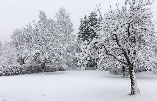 Maison Novel - Foto 18