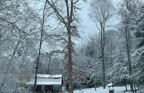 Serene Cabin between Fayetteville& Summerville WV - Foto 17