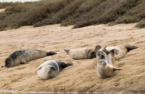 3 Bed in Brancaster Staithe oc-d28860 - Foto 26