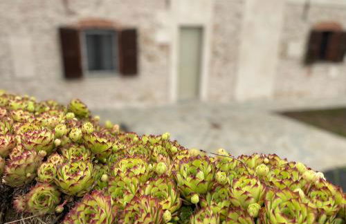 Cascina Mabette - Foto 42