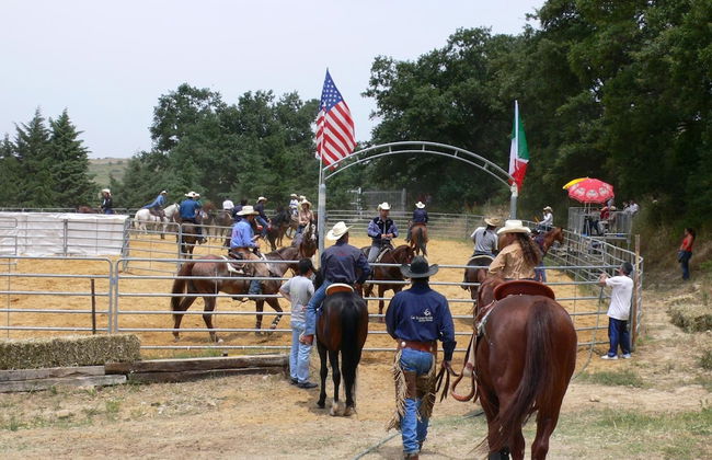 Masseria Straziuso - La Vaccariccia - Photo 17