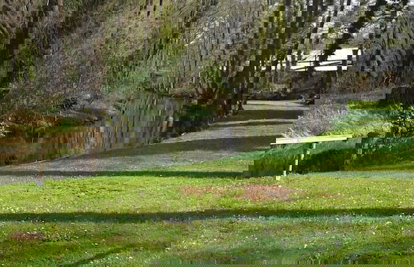 Markgrafenmühle - Foto 13