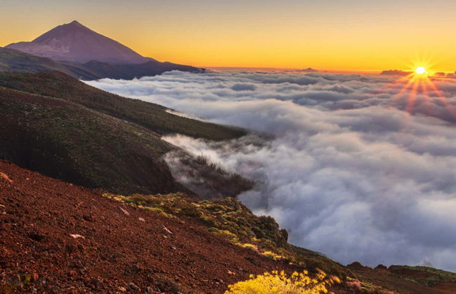 Tenerife Private Excursion - Foto 1