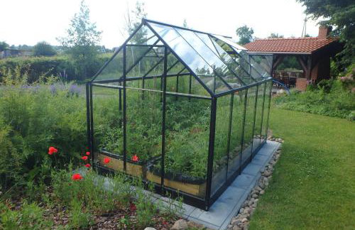 U Aptekarzy - Foto 43