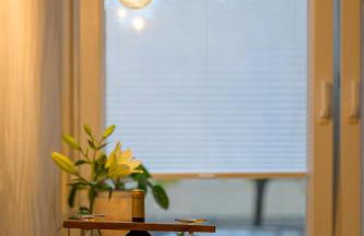 Home Abroad - Foto 31