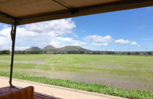 Mas Pinell Viu bé - Foto 26