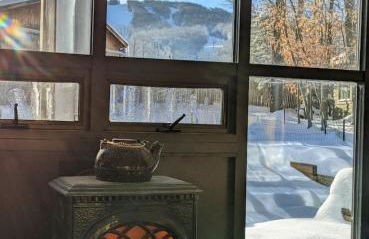 Seasonal Bliss Ski-Hike-Relax - Photo 21