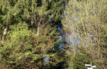 Ferienwohnung Hirsch im Allgäu - Foto 19