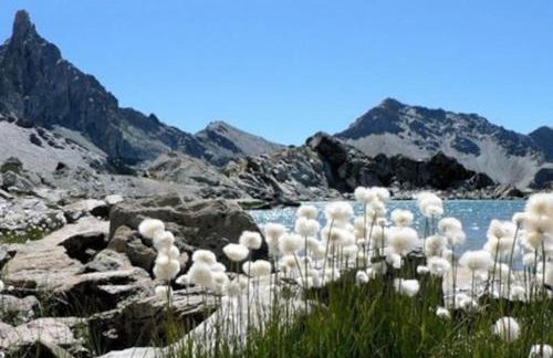 Paradis St Véran - Foto 32