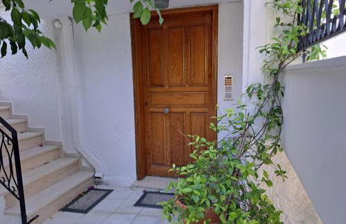 ARTEMIS and FILLO - Photo 4