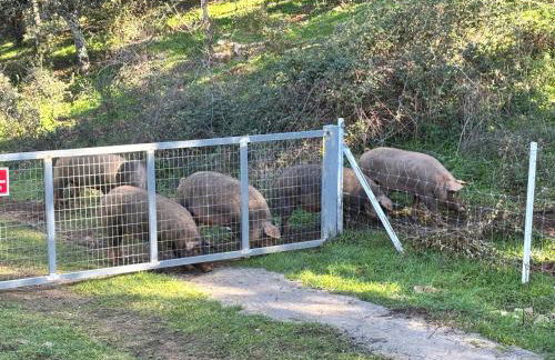 Cortijo Rural El Contador, con chimenea - Photo 56