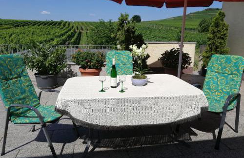 Wein-und Gästehaus Alfons Bollig - Foto 17