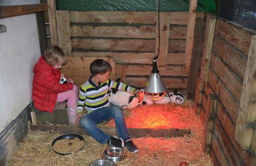 Haus Blume - Foto 44