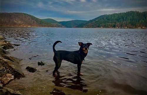 Glückshütte - Foto 27